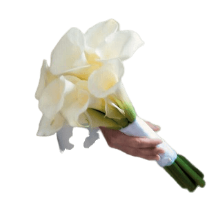 Gelin El Buketi (10 Gala Çiçegi)