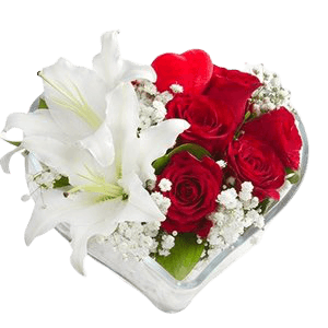 Mika Kalp İçinde Güller